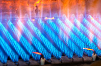 Bulkworthy gas fired boilers